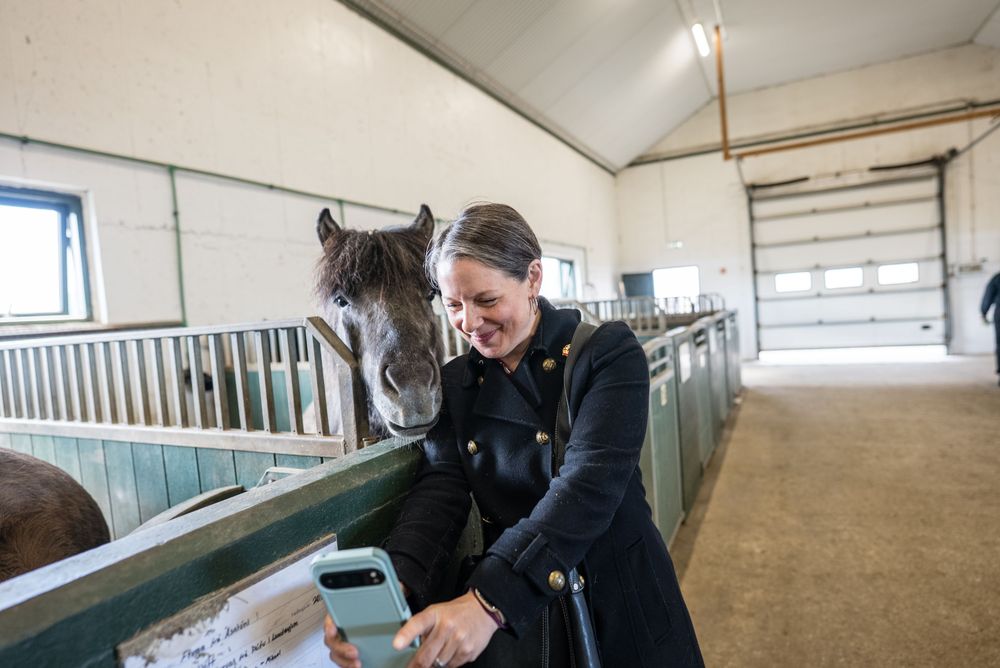 Mynd sem tengist textanum