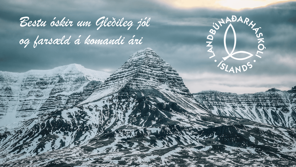 Mynd sem tengist textanum