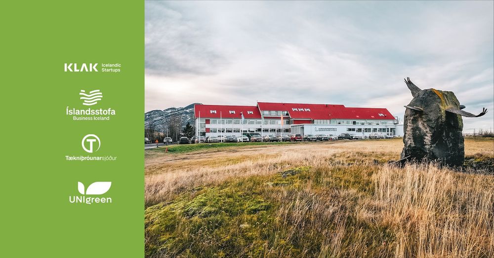 Mynd sem tengist textanum