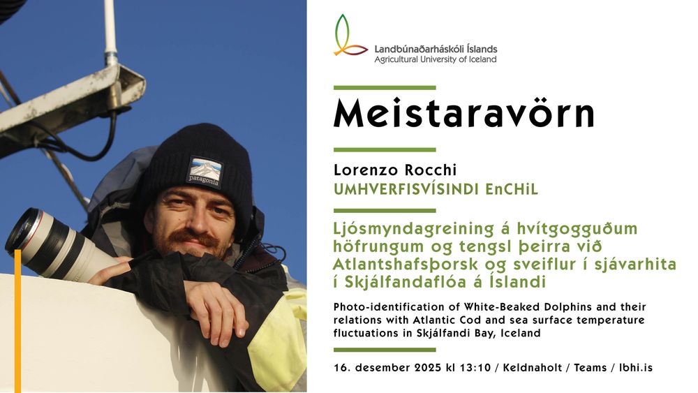 Mynd sem tengist textanum