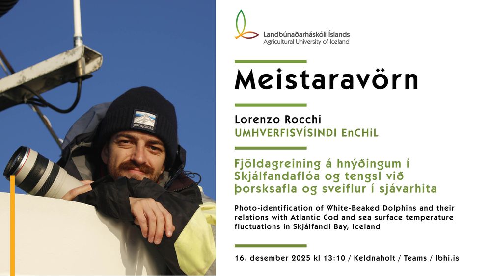 Mynd sem tengist textanum