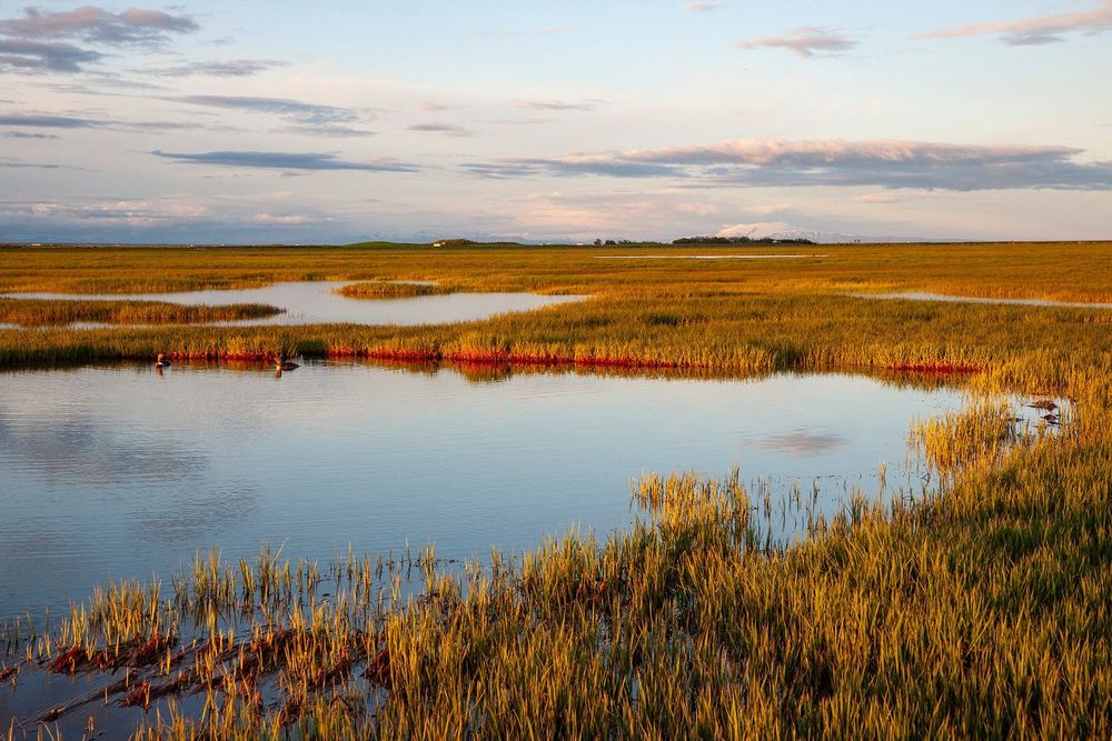 Mynd sem tengist textanum