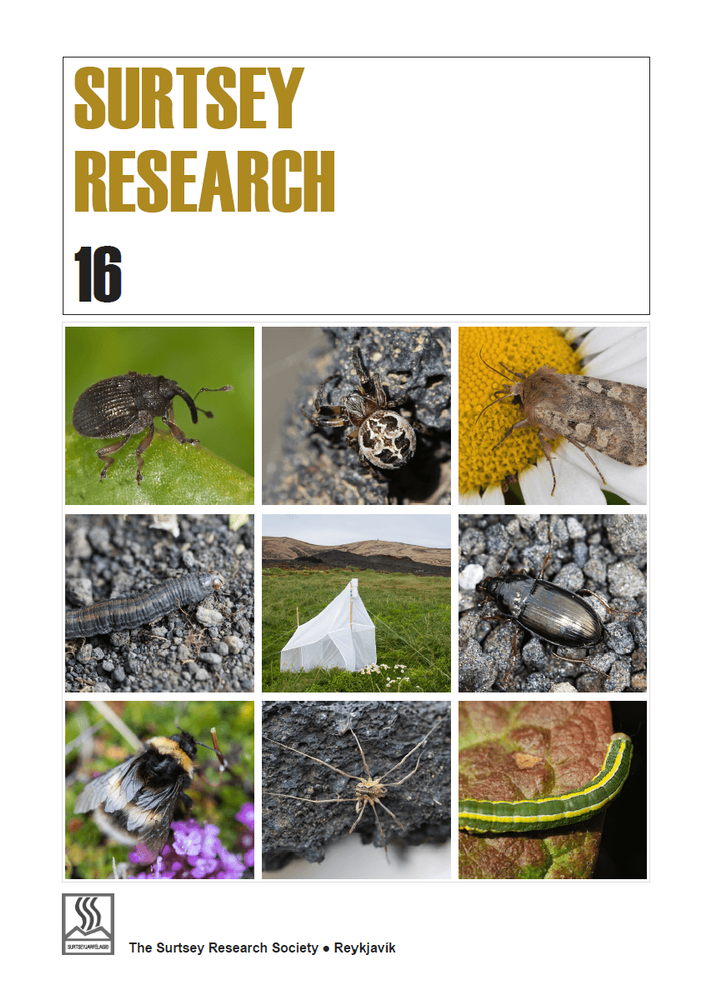 Mynd sem tengist textanum