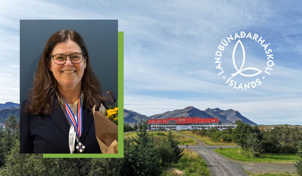 Mynd sem tengist textanum