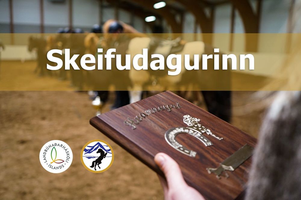 Mynd sem tengist textanum