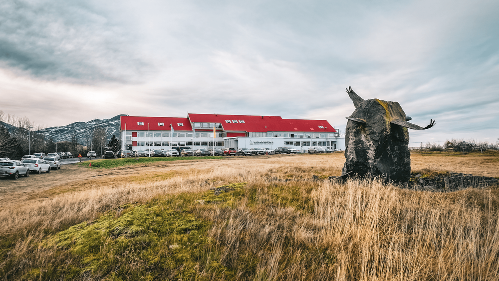 Mynd sem tengist textanum