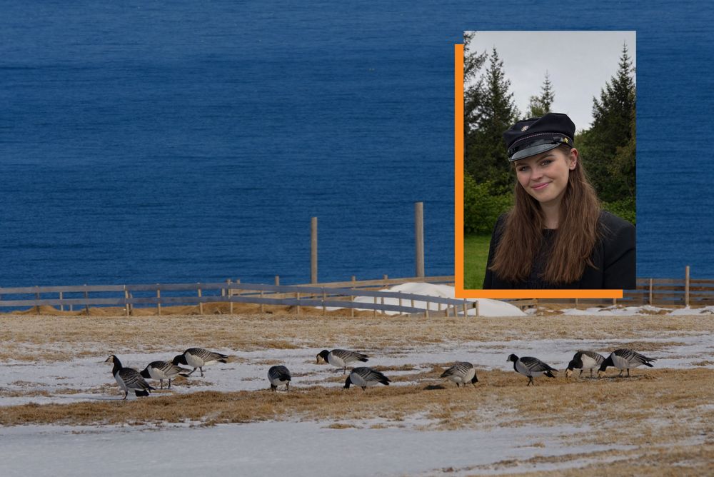 Mynd sem tengist textanum