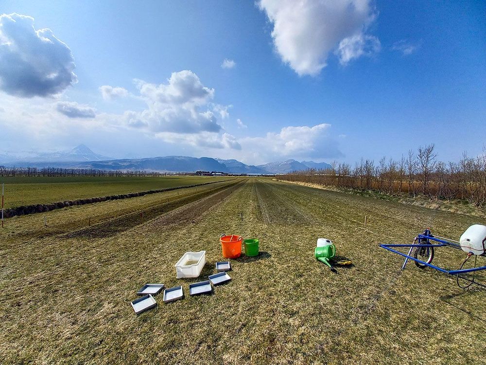 Mynd sem tengist textanum