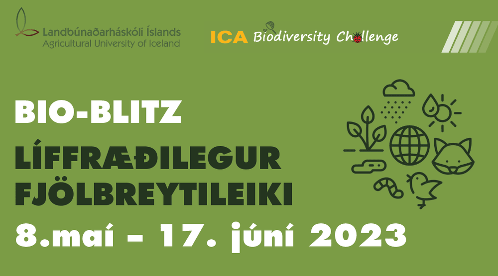 Bio-Blitz –Alþjóðleg áskorun um líffræðilegan fjölbreytileika
