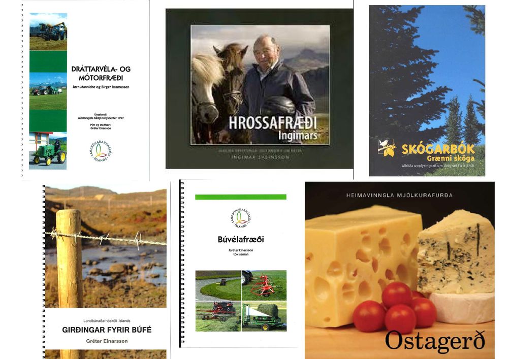 Mynd sem tengist textanum