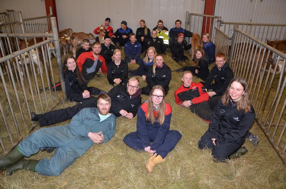 Mynd sem tengist textanum