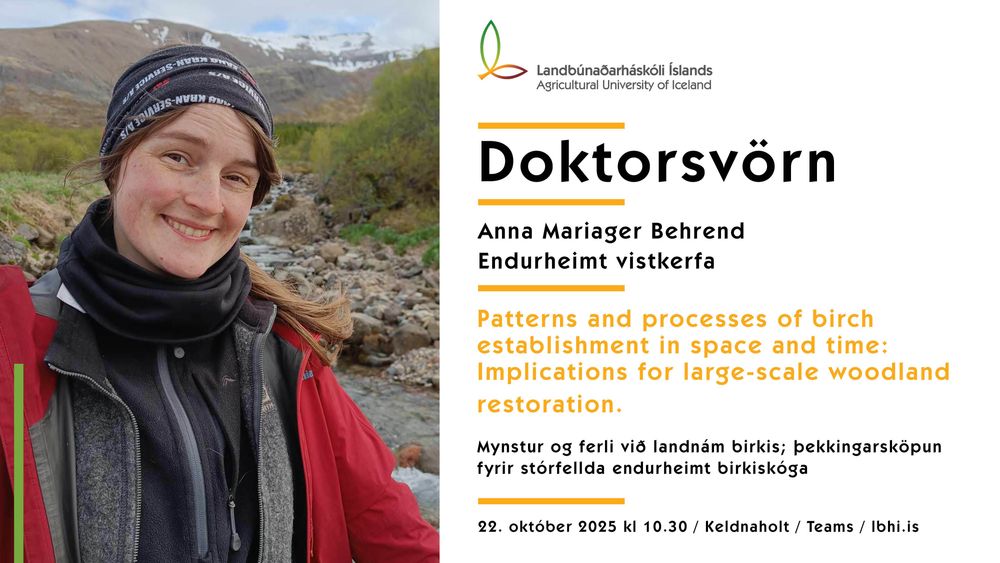 Mynd sem tengist textanum