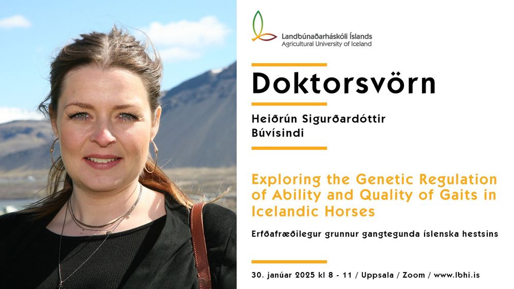 Mynd sem tengist textanum