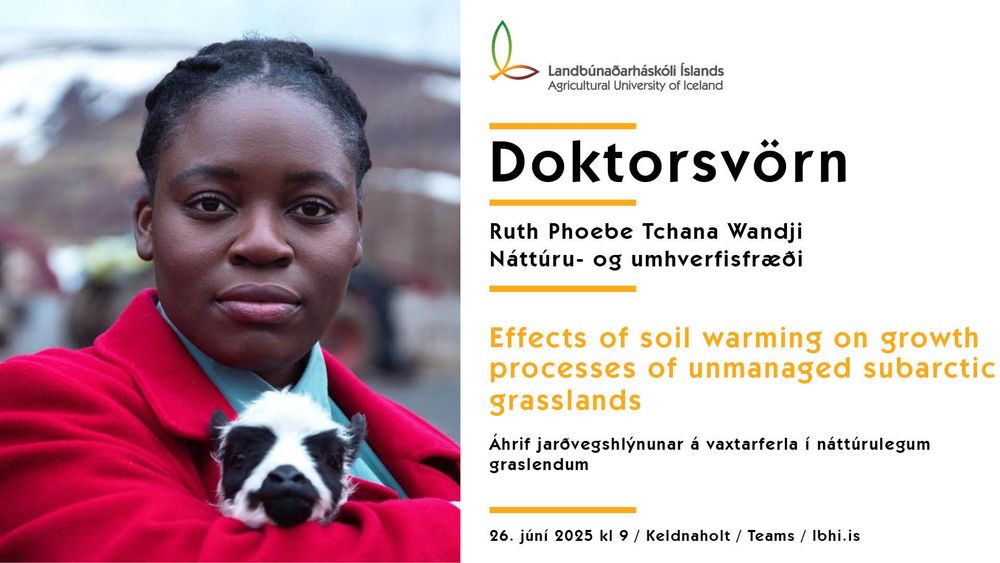 Mynd sem tengist textanum