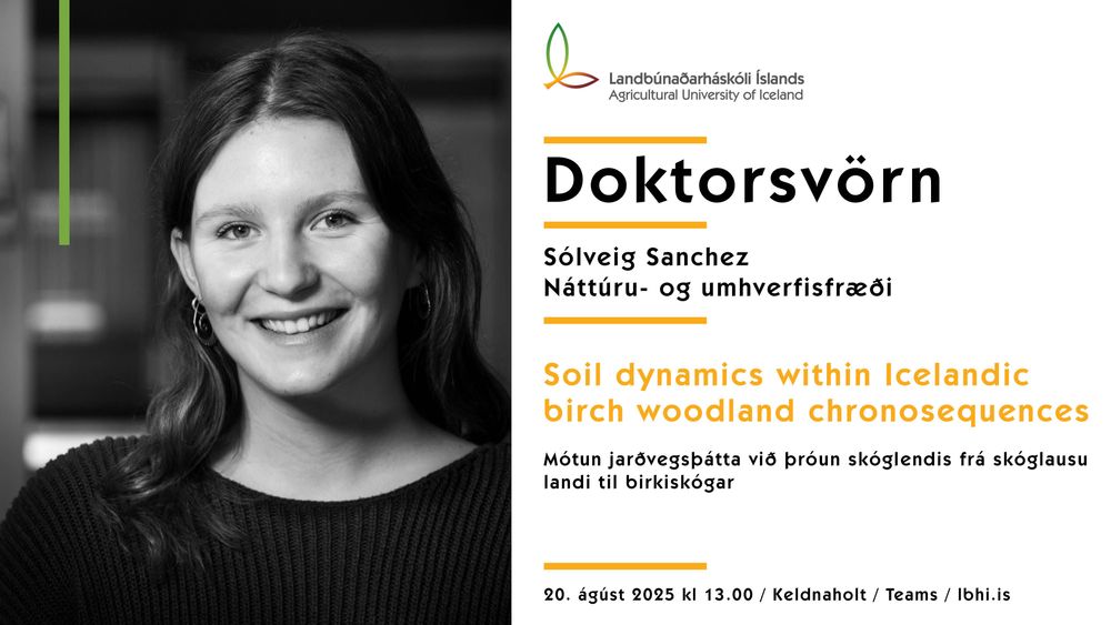 Mynd sem tengist textanum