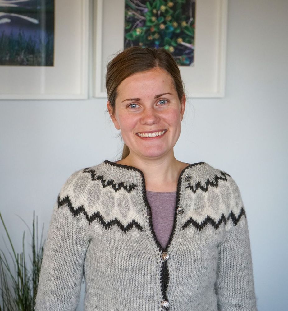 Mynd sem tengist textanum