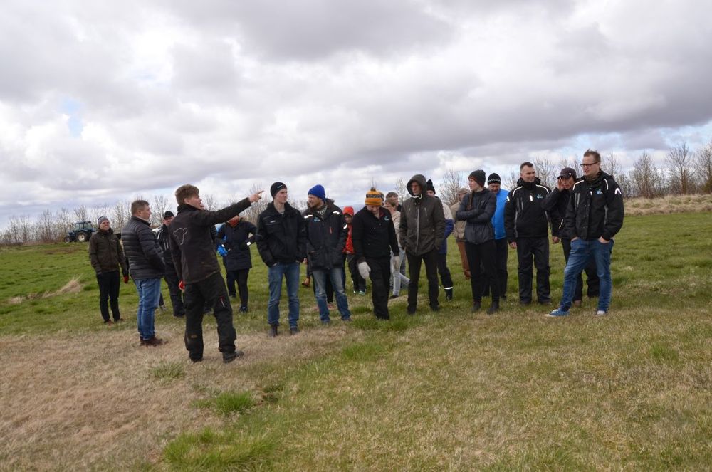 Mynd sem tengist textanum