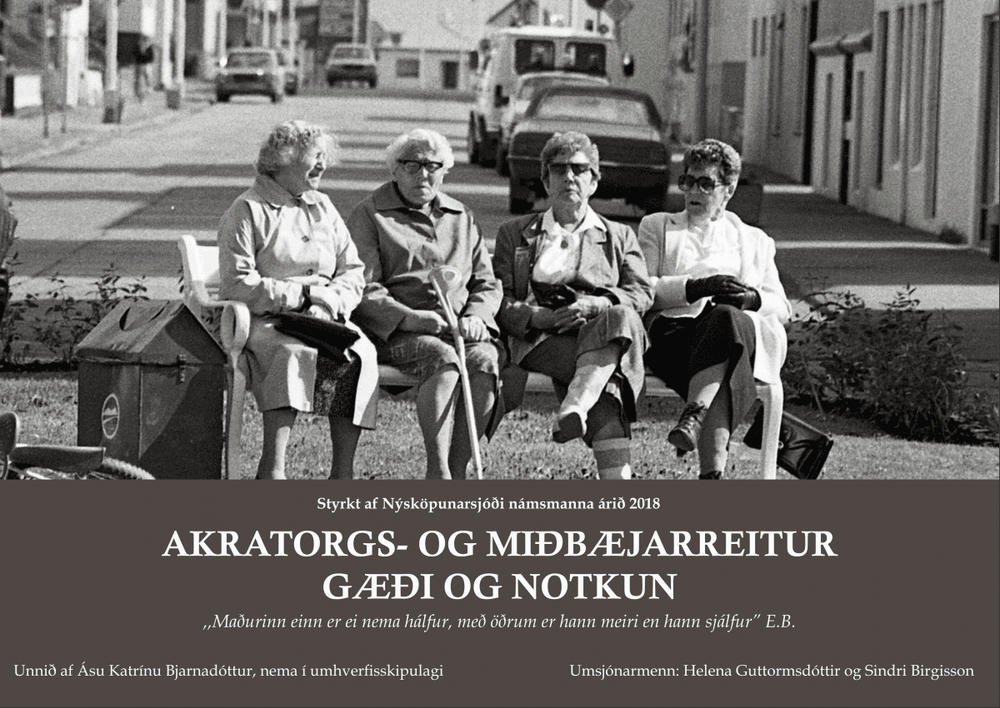 Mynd sem tengist textanum