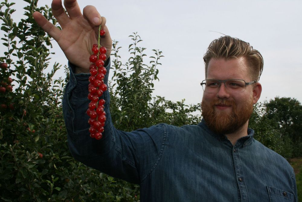 Mynd sem tengist textanum