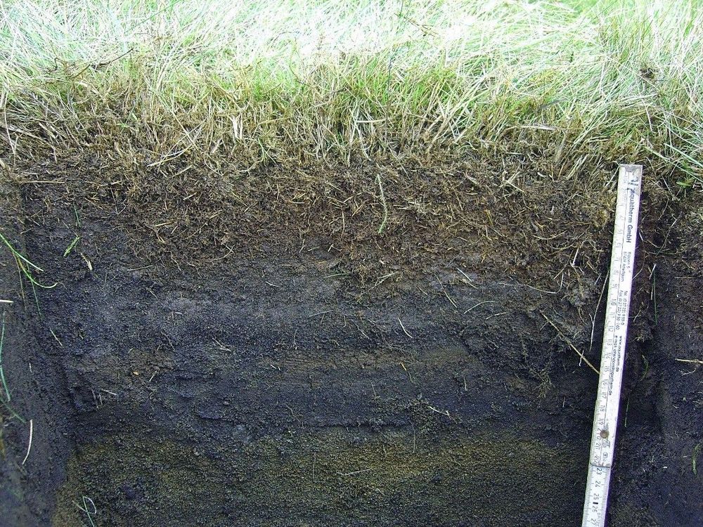 Mynd sem tengist textanum