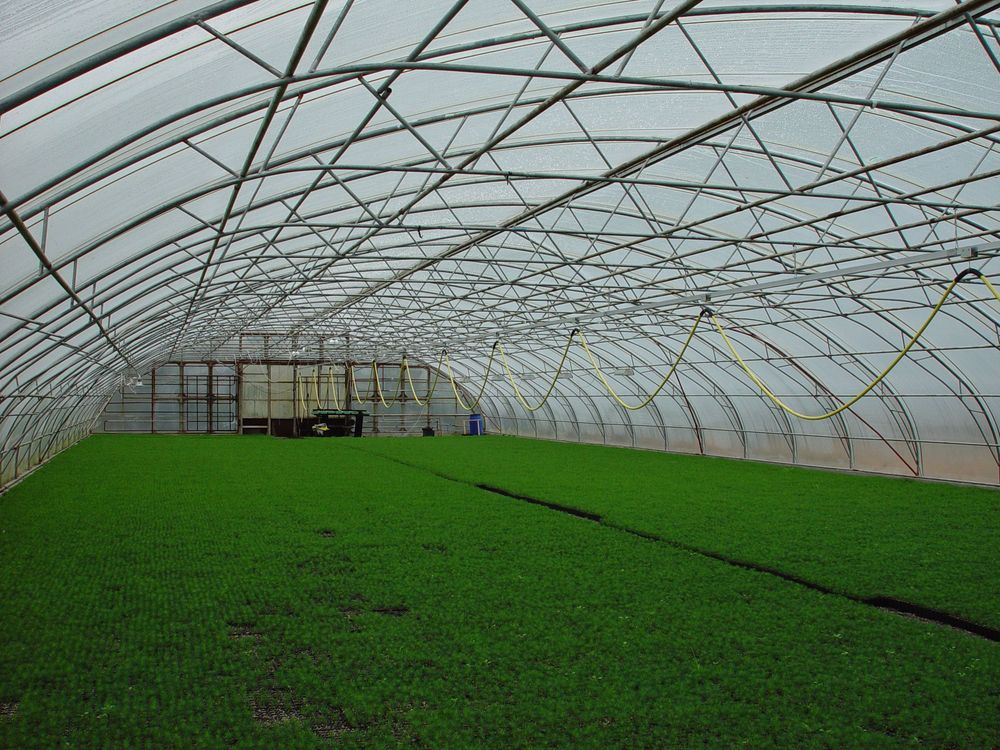 Mynd sem tengist textanum