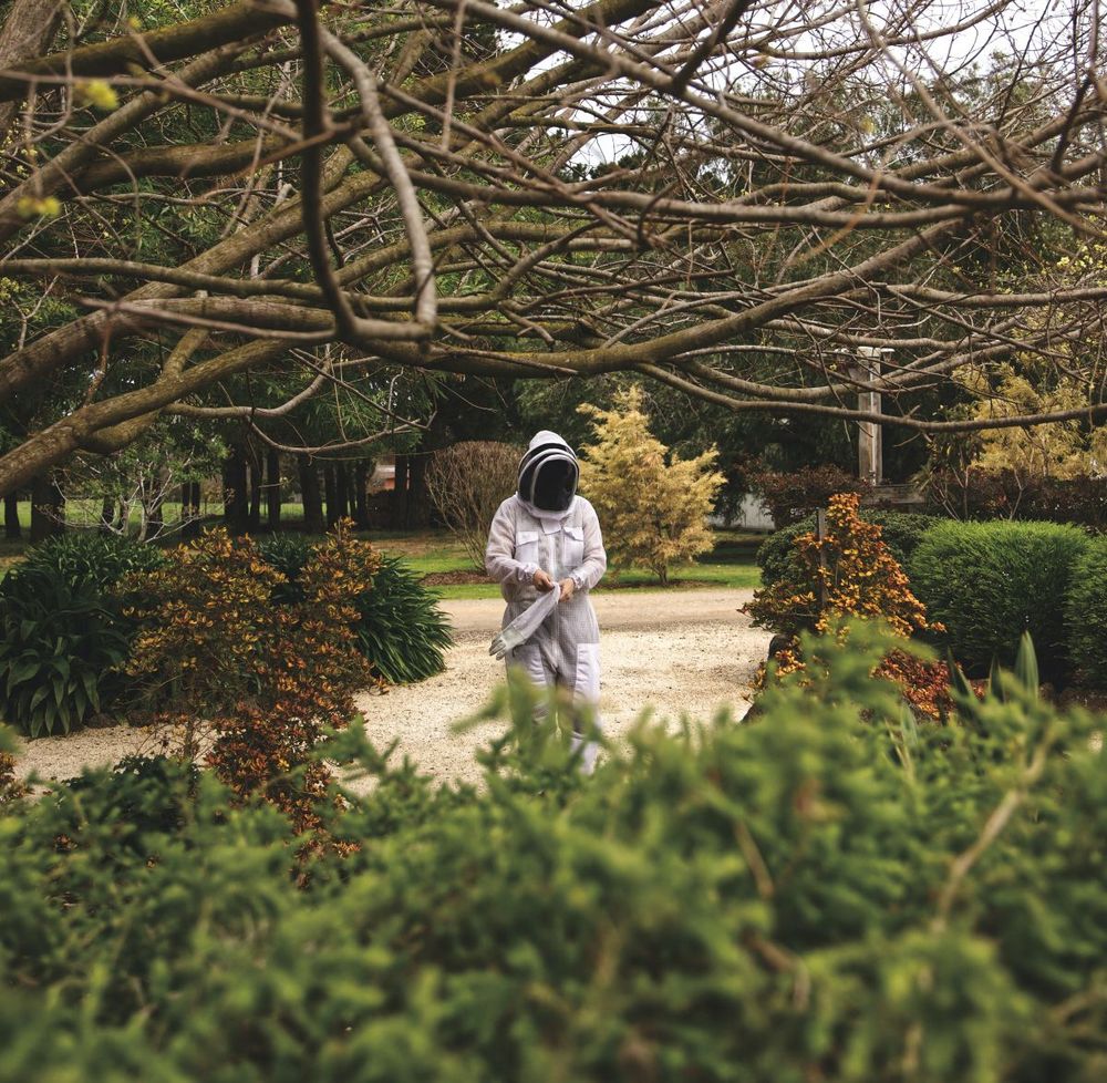 Mynd sem tengist textanum