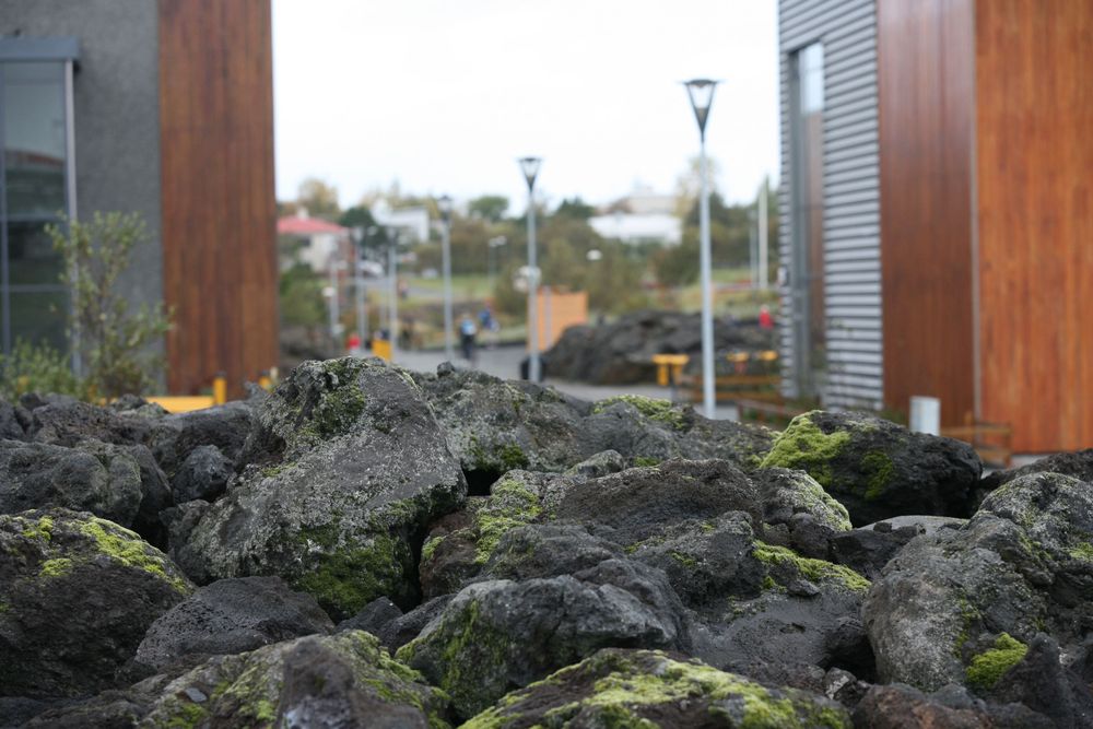 Mynd sem tengist textanum