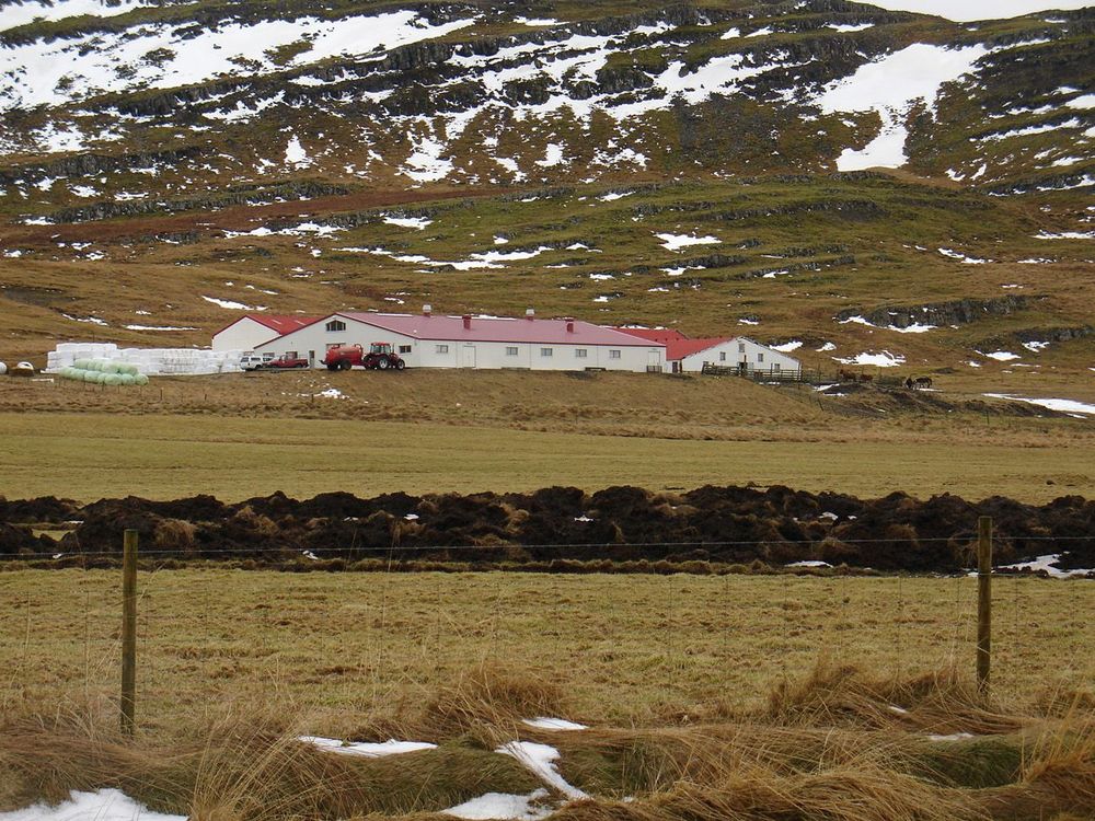 Mynd sem tengist textanum