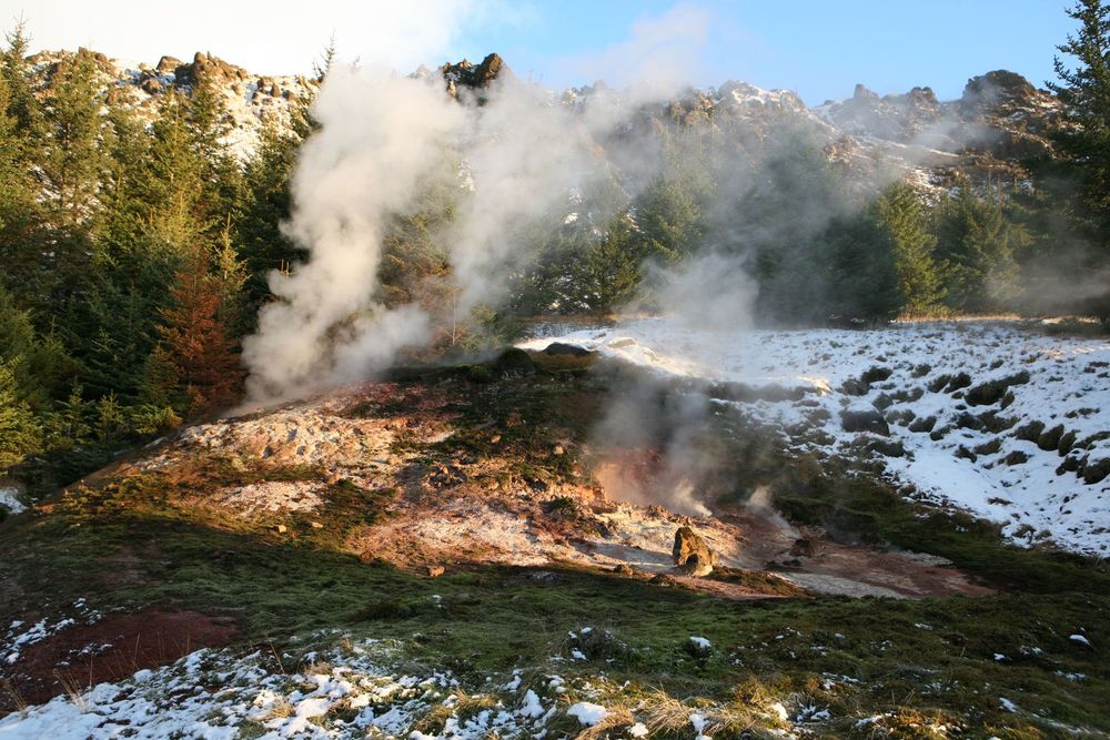 Mynd sem tengist textanum