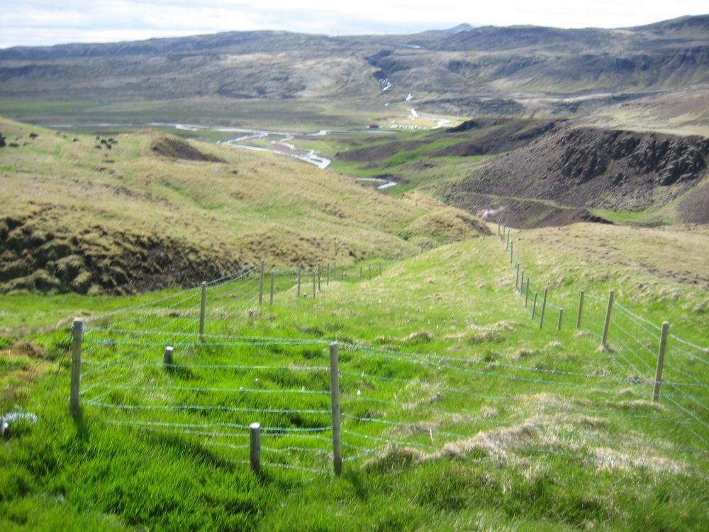 Mynd sem tengist textanum