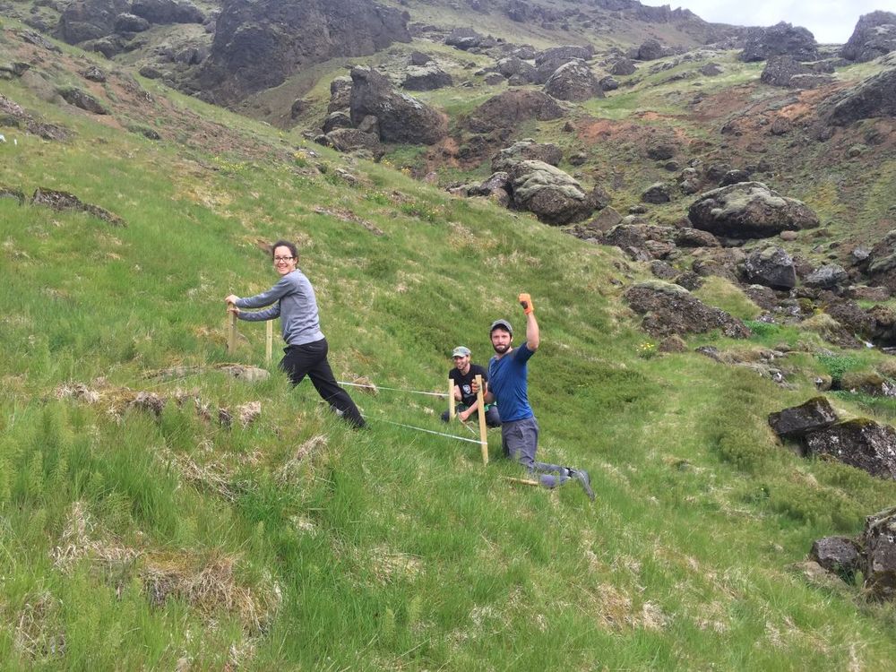 Mynd sem tengist textanum