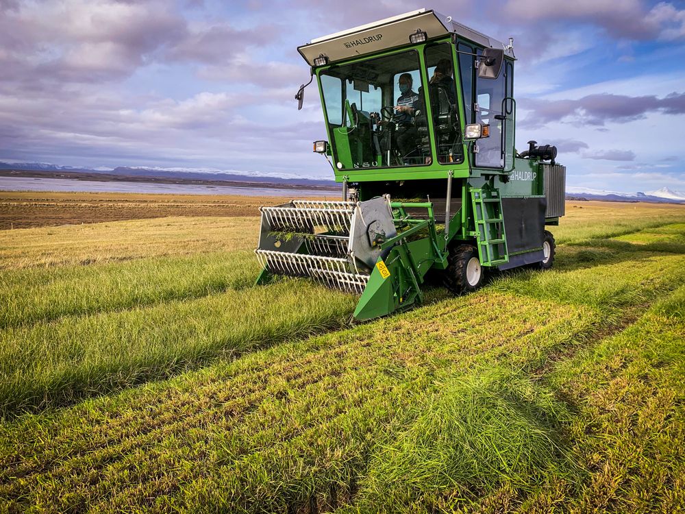 Mynd sem tengist textanum