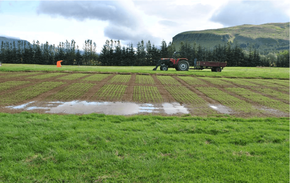 Mynd sem tengist textanum