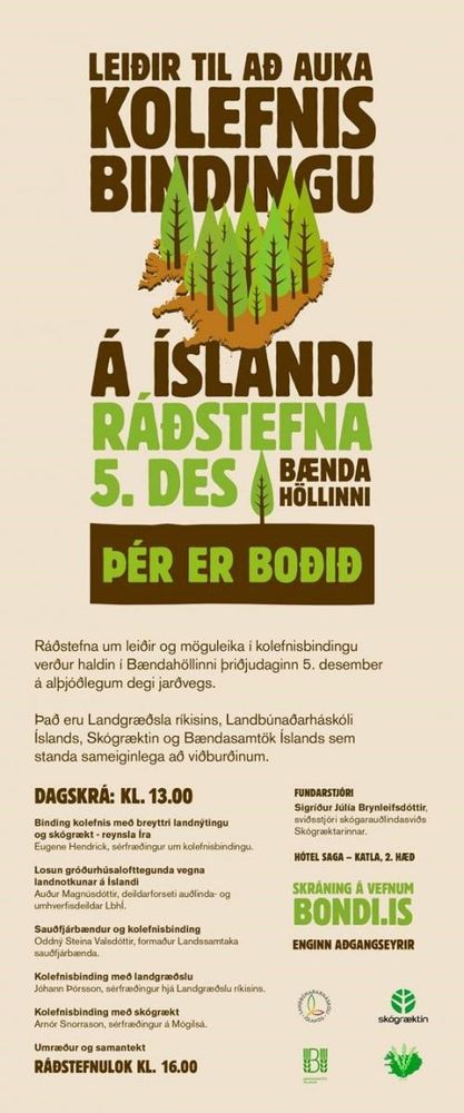 Mynd sem tengist textanum