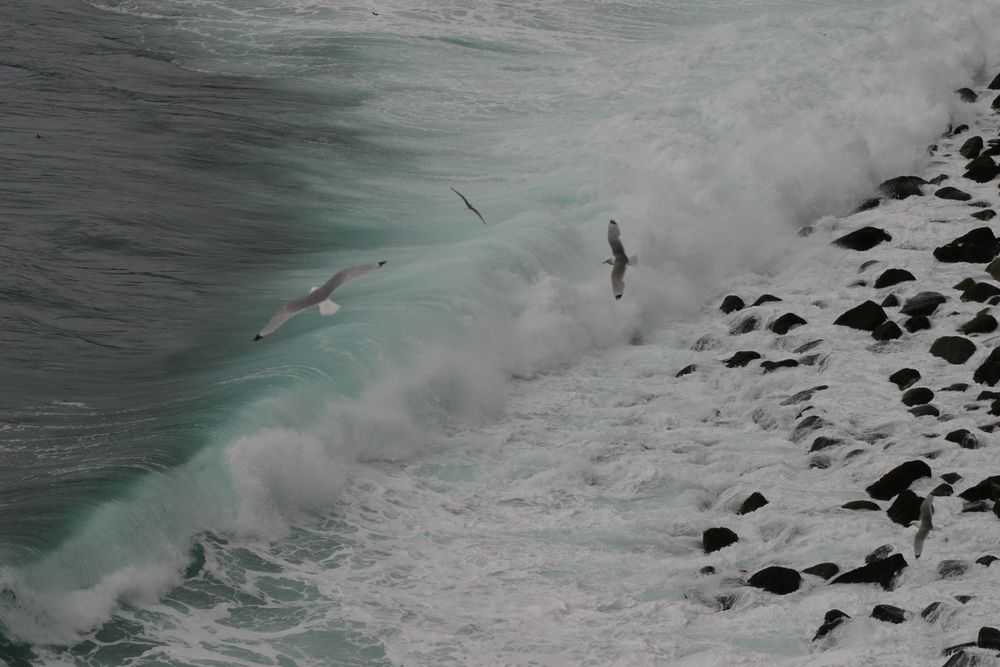 Mynd sem tengist textanum