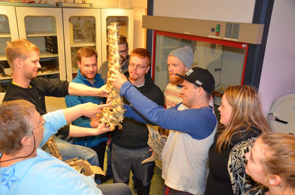 Mynd sem tengist textanum