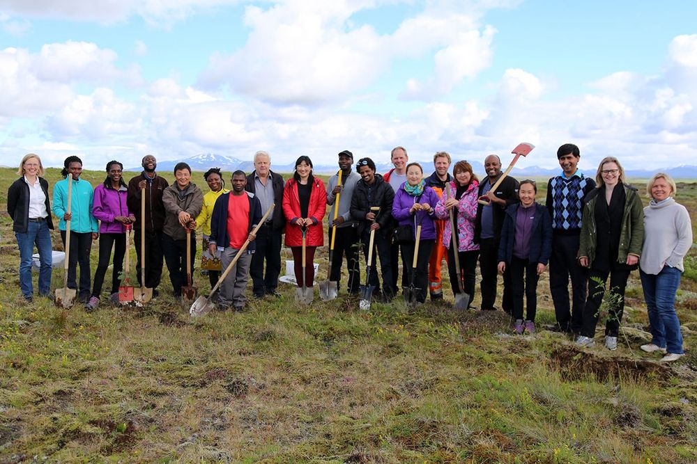 Mynd sem tengist textanum