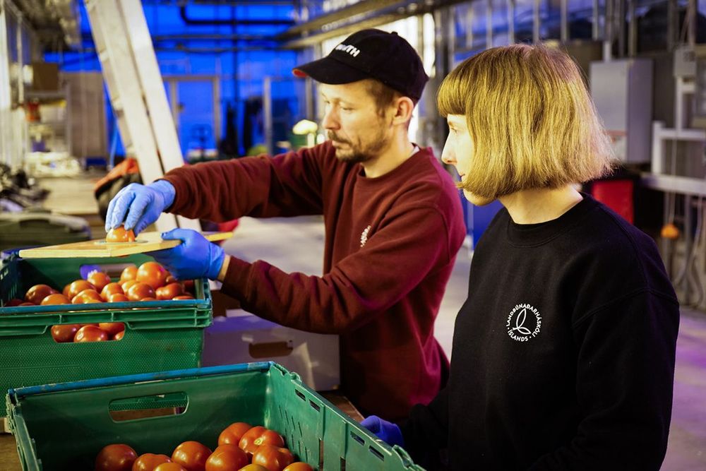 Mynd sem tengist textanum