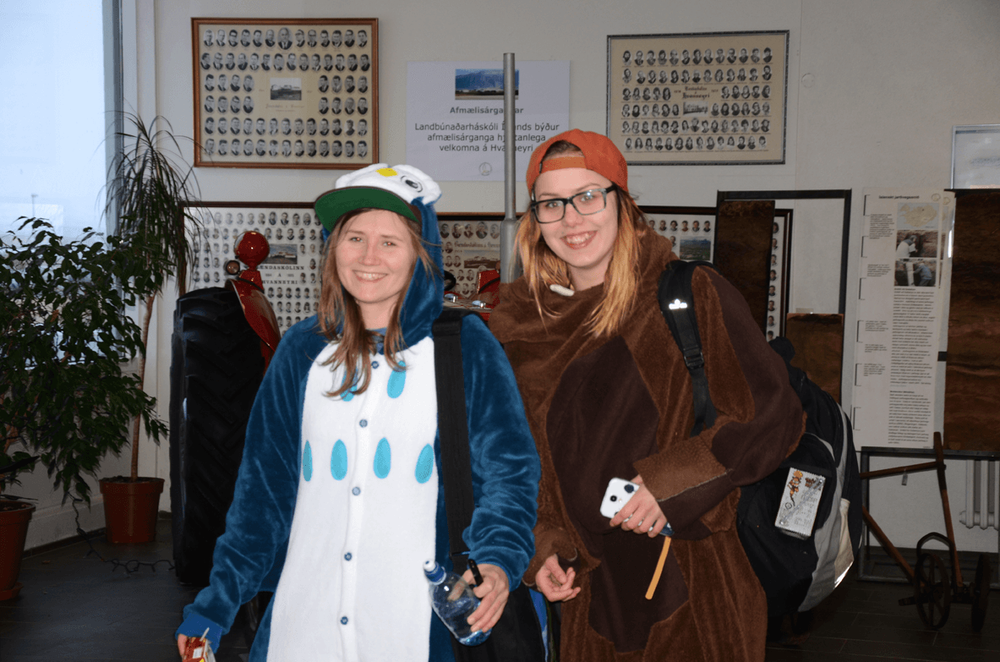 Mynd sem tengist textanum