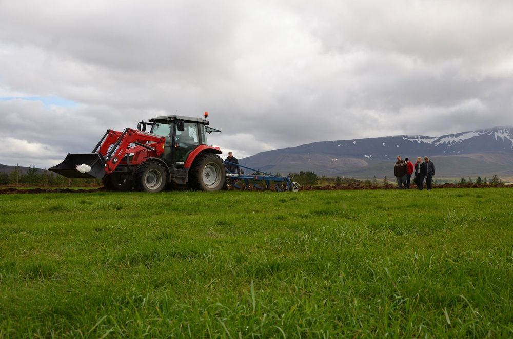 Mynd sem tengist textanum