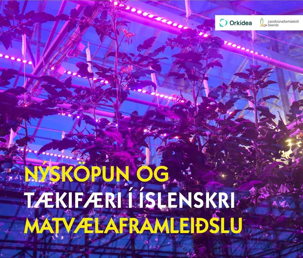 Nýsköpun og tækifæri í  íslenskri matvælaframleiðslu