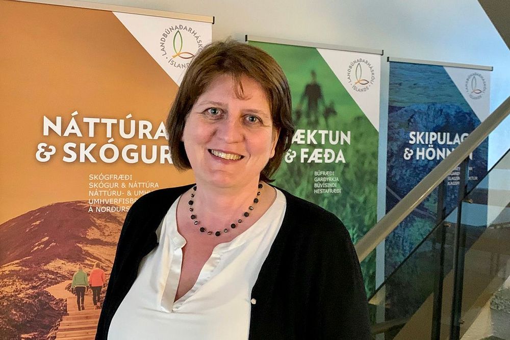 Mynd sem tengist textanum