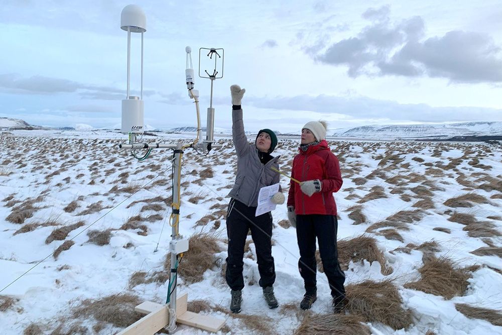 Staða nýdoktors við Landbúnaðarháskóla Íslands