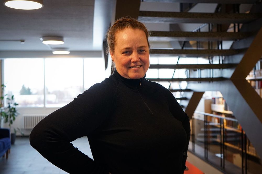 Mynd sem tengist textanum