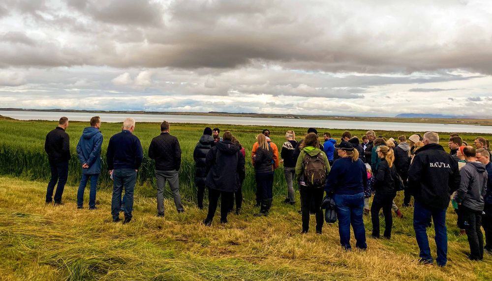 Mynd sem tengist textanum