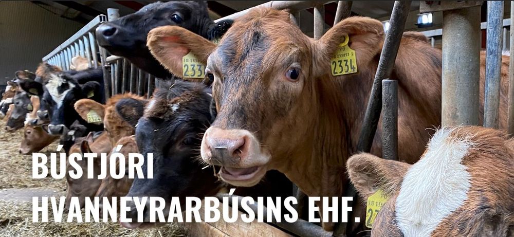 Framlengdur umsóknarfrestur - Bústjóri Hvanneyrarbúsins ehf