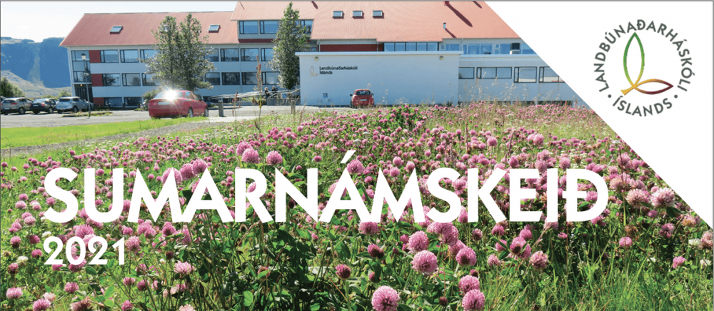 Mynd sem tengist textanum