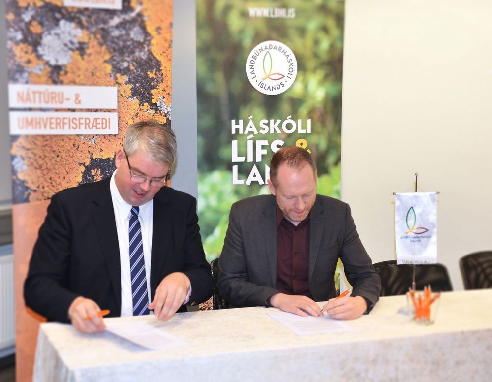 Mynd sem tengist textanum