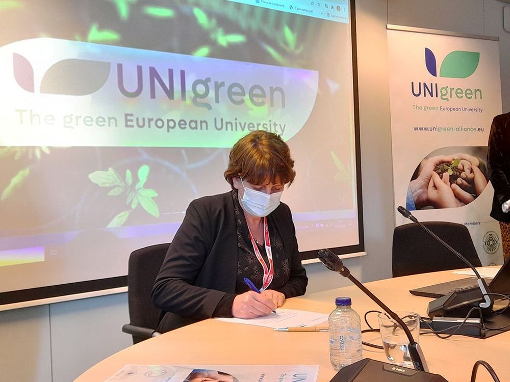 Mynd sem tengist textanum