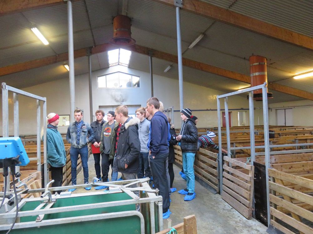 Mynd sem tengist textanum